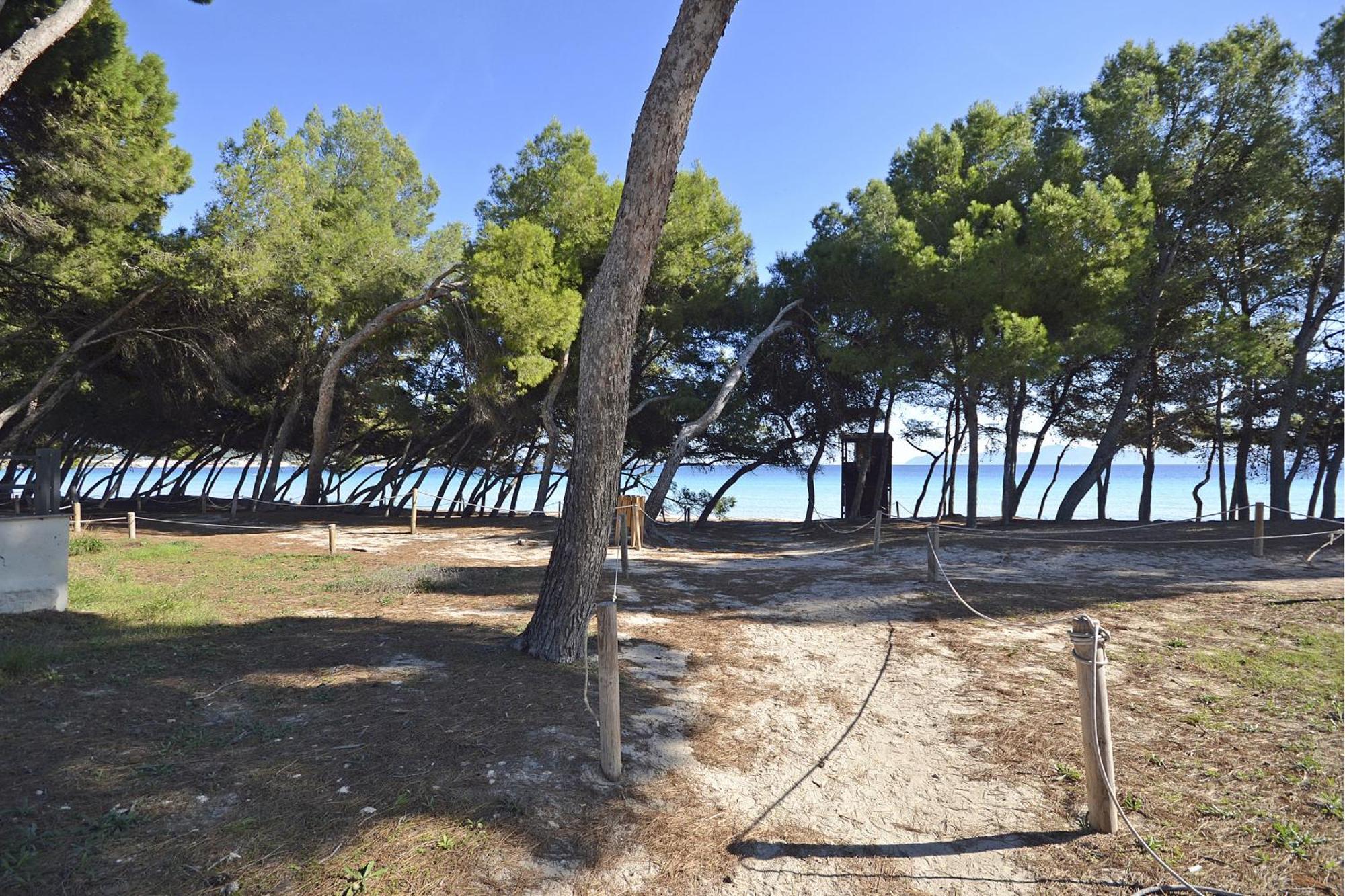 Playa De Los Pinos Apartment Port de Alcudia  Exterior photo