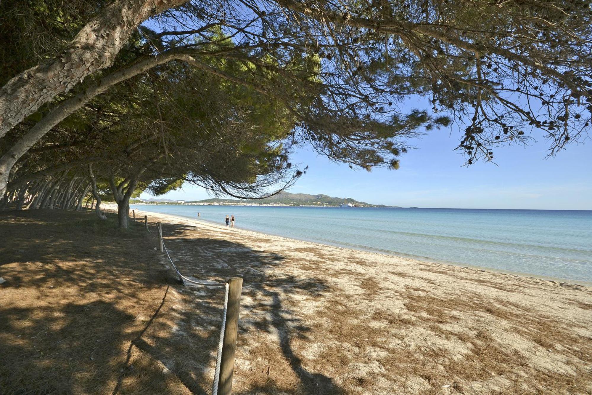 Playa De Los Pinos Apartment Port de Alcudia  Exterior photo